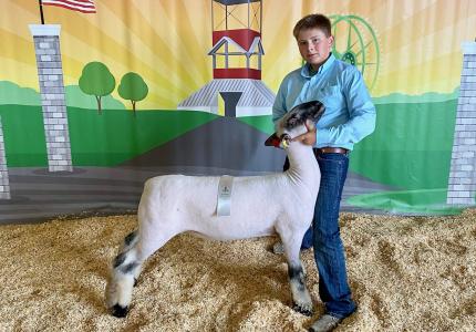 Tucker Grisham represented Floyd County 4-H in 8th Grade Market Lamb Showmanship and placed 9th in two separate classes. Tucker Grisham