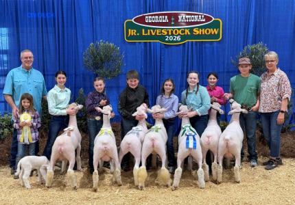 Floyd County Ewe Group at Georgia Junior National Livestock Show