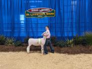 Livestock Show